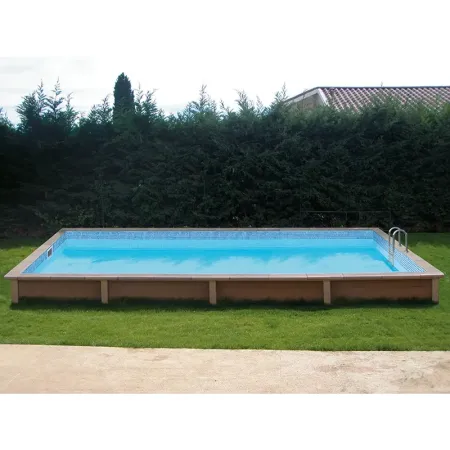 Piscine Naturalis Rectangulaire 609x324 cm