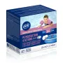 Chlore 4 Actions Gre 1 Kg en tablettes de 100 g sans Acide Borique 76110NB